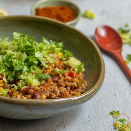 Instant Pot Vegan Burrito Bowl served in a green bowl.