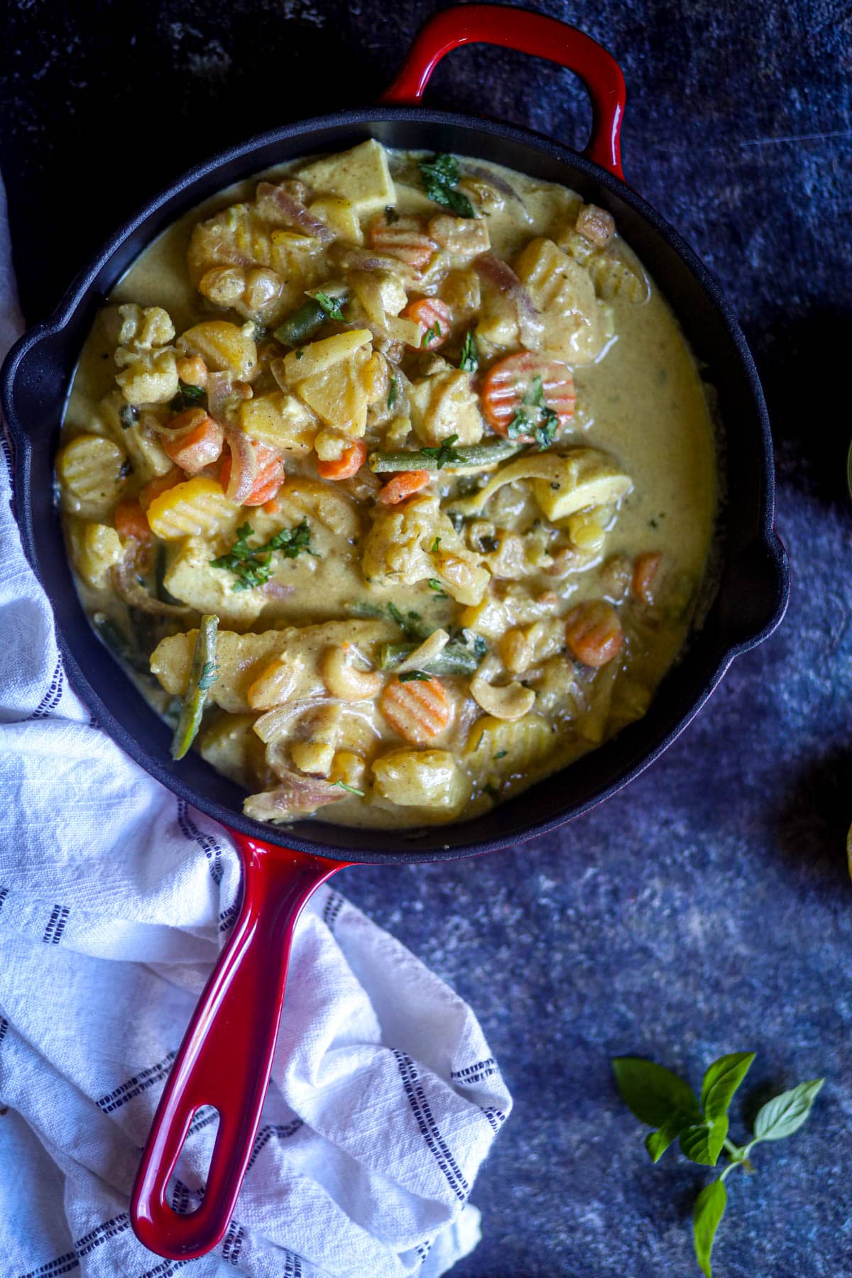 Overshot of Navratan Korma.