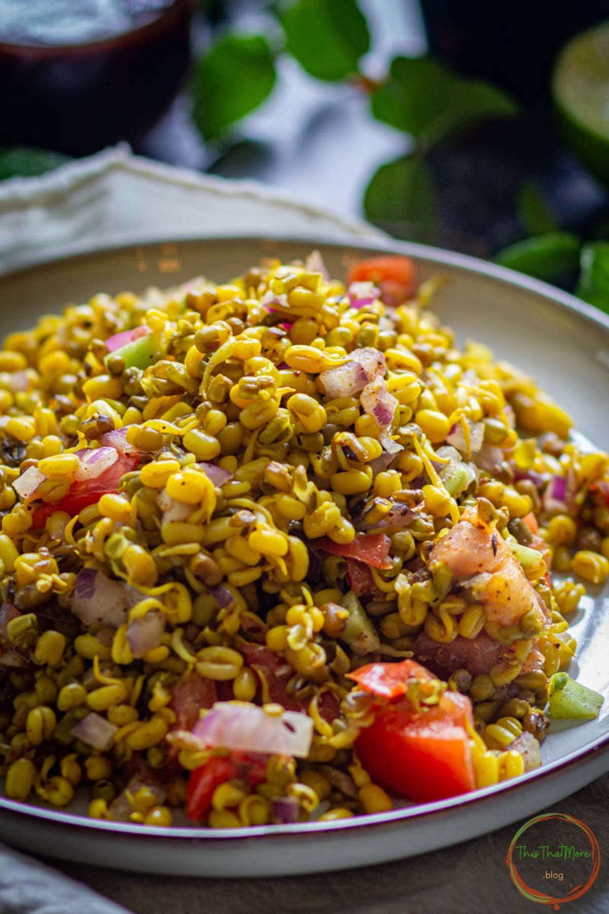 Close-up of sprouts chaat with vegetables and spices.