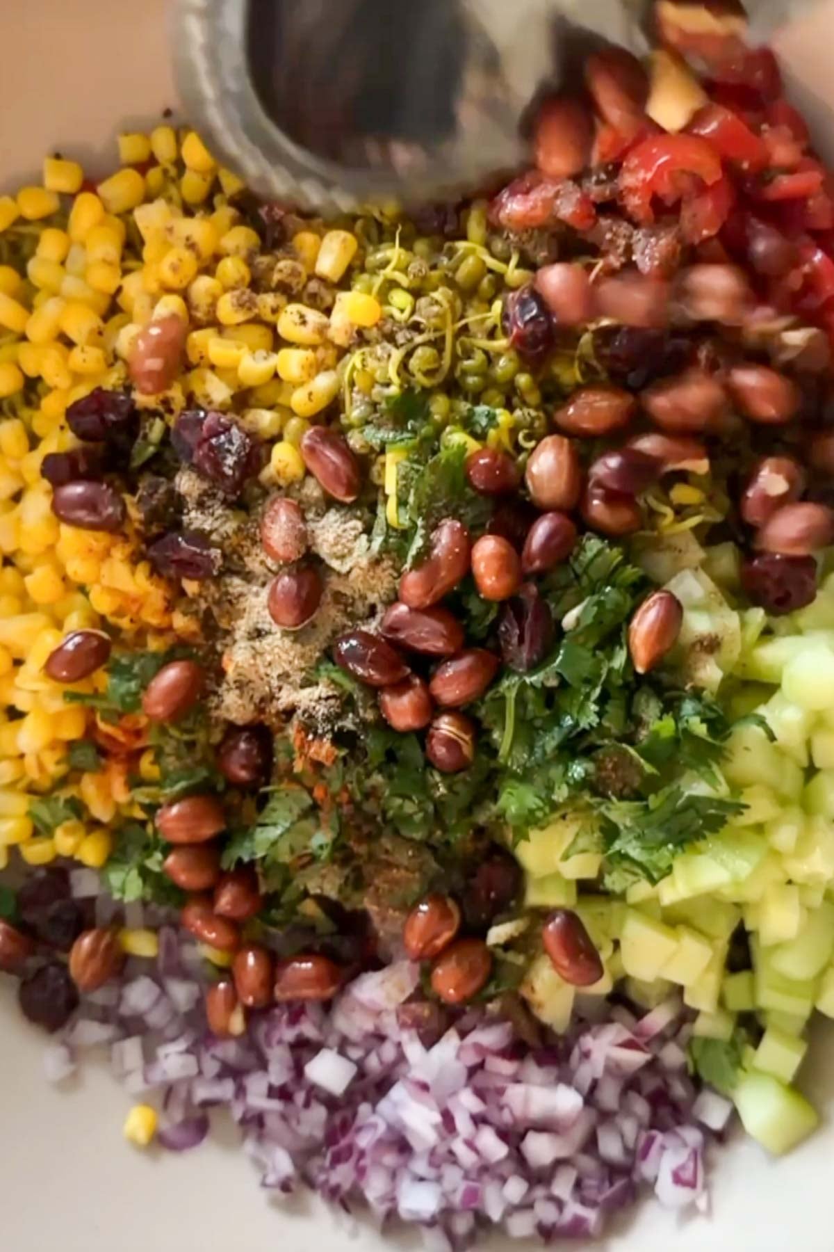 Roasted peanuts and dried cranberries added to sprouts chaat.
