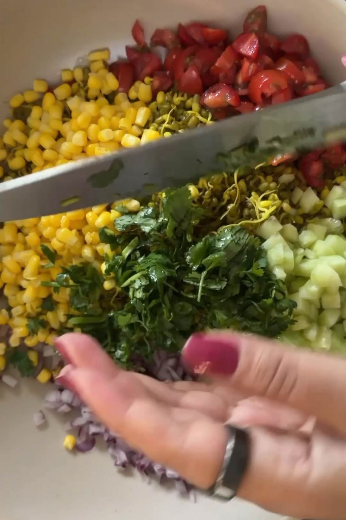 Sprouts chaat ingredients with corn, tomatoes, cucumber, onion and cilantro.