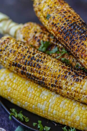 Indian roasted corn on the cob with charred kernels.