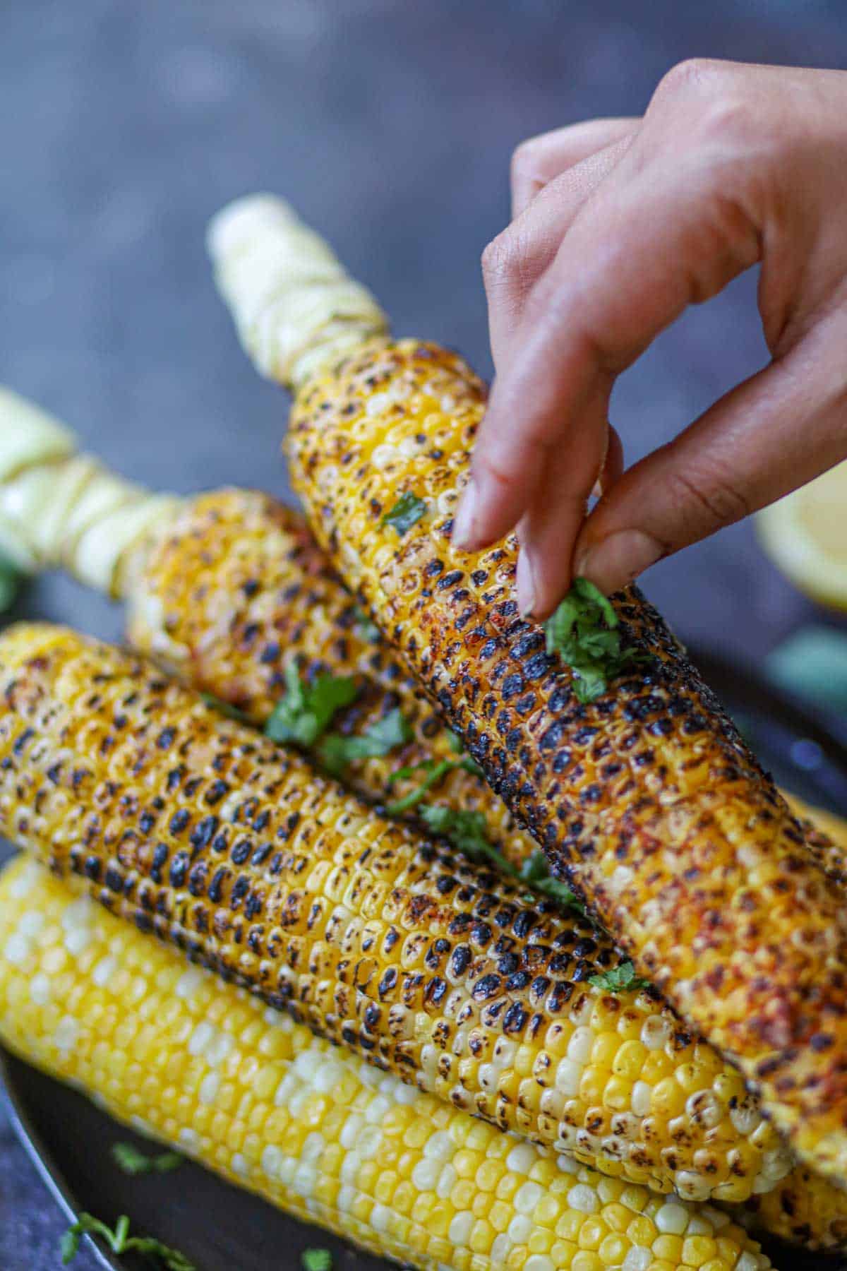 Garnishing Indian roasted corn with fresh cilantro.