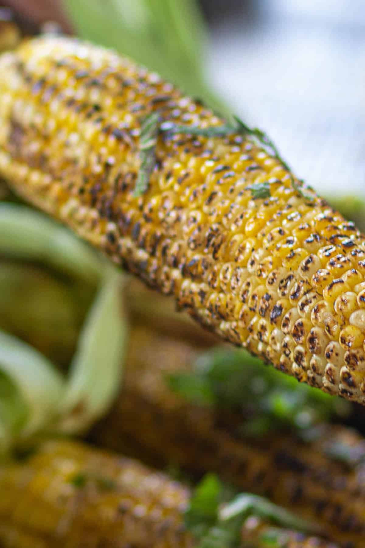 Close-up of smoky charred corn kernels.