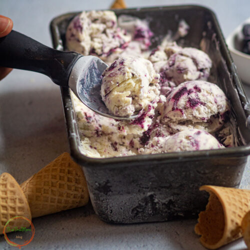 BLUEBERRY ICE CREAM