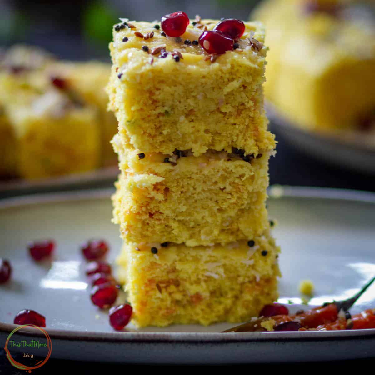 INSTANT KHAMAN DHOKLA