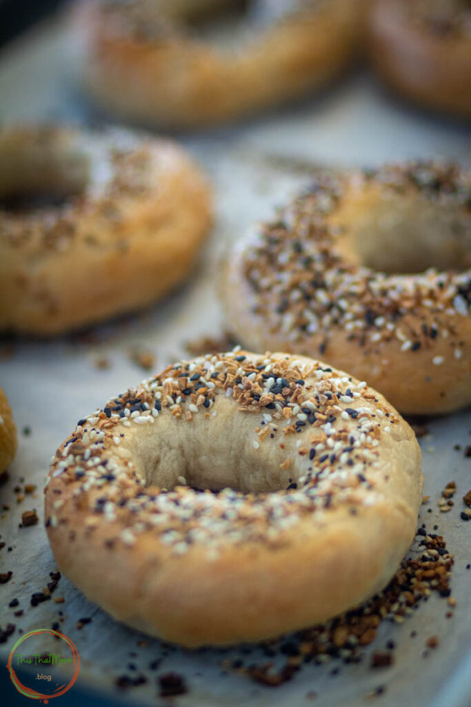 HOMEMADE BAGEL