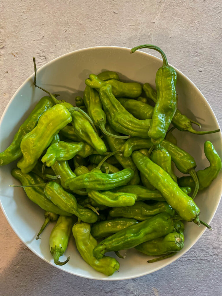 rrinse the shishito peppers & pat them dry