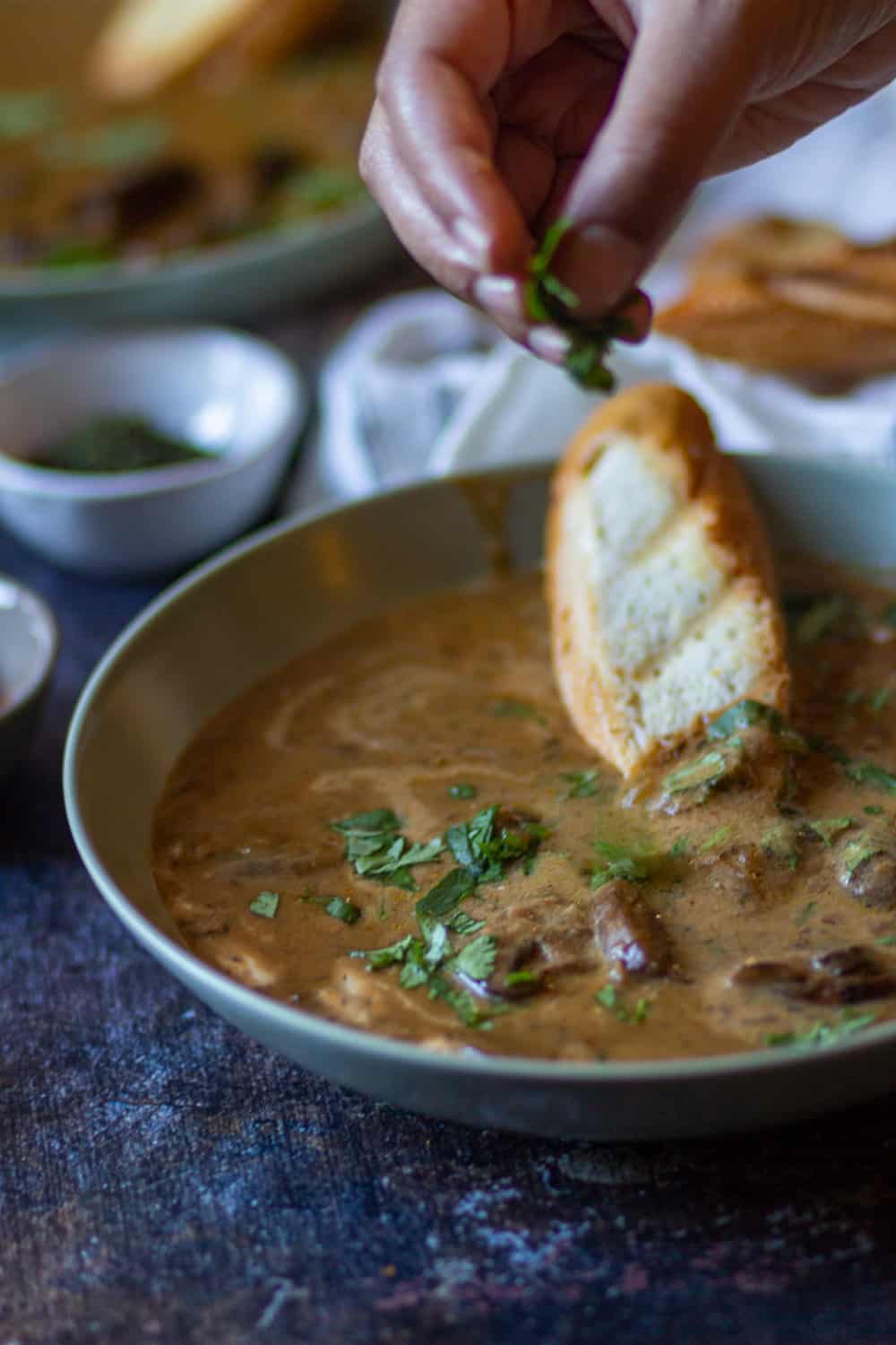 Hungarian Mushroom Soup in a big bowl & garnished with Parsley
