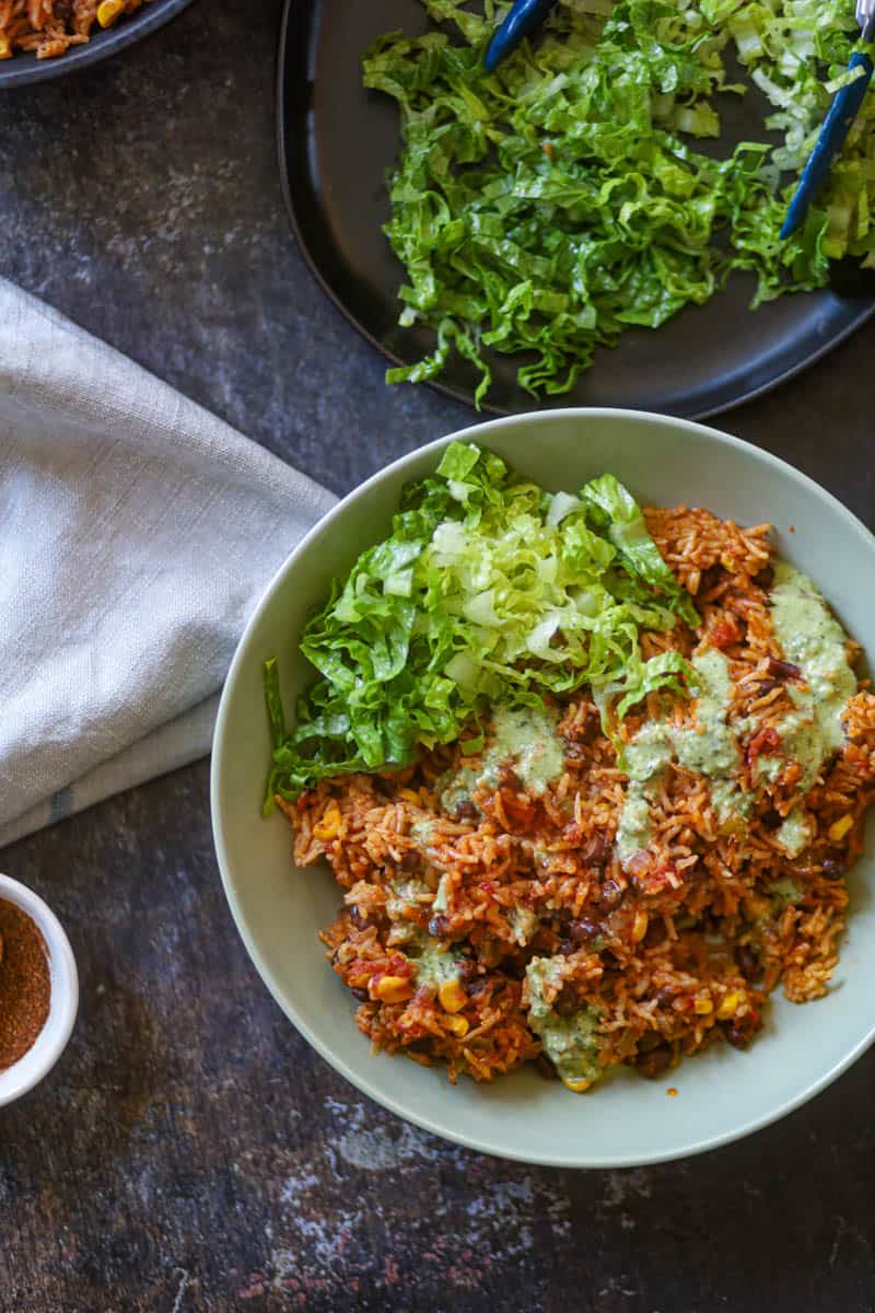 Top view of burrito bowl in a bowl.