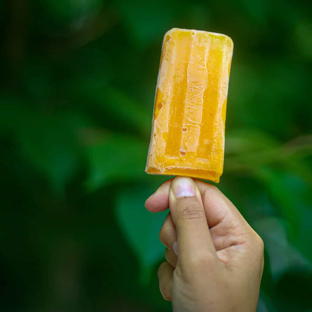 Picked the popsicle in the hand.