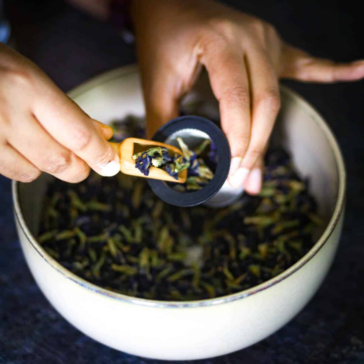 Add butterfly pea flowers in the infuser.