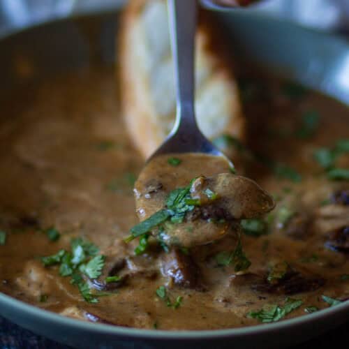 hungarian mushroom soup-featured.