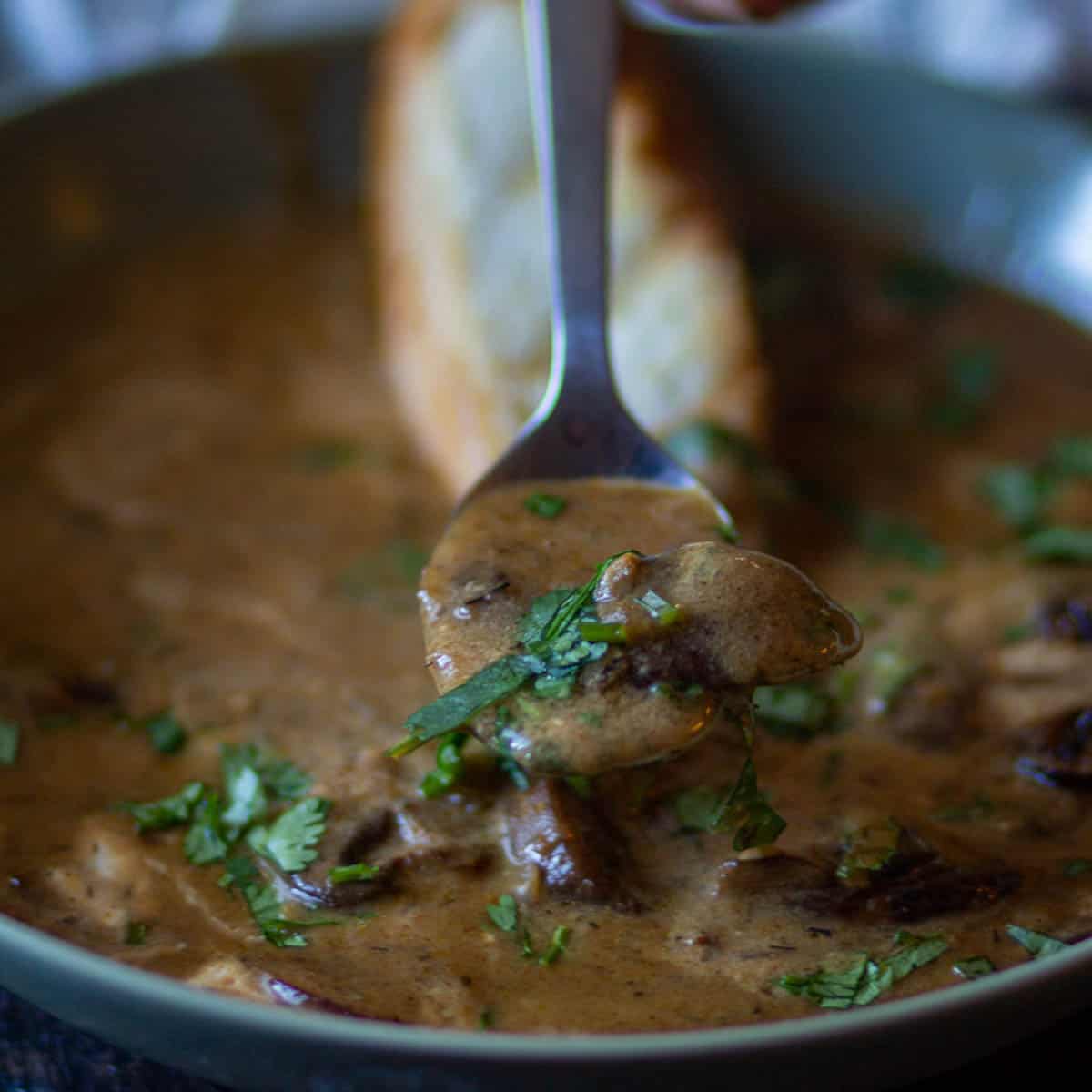 hungarian mushroom soup-featured.