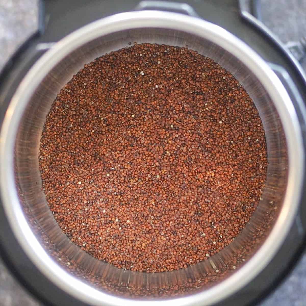 Add quinoa and water in the Instant Pot.