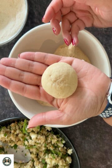 Take a small portion from the kneaded dough and roll it into a round ball.