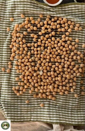Chickpeas drying on a kitchen towel before air frying.