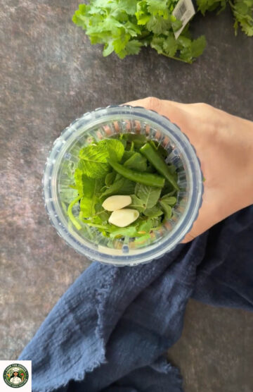 Hariyali paneer tikka green marinade made with coriander, mint, garlic, and green chilies.