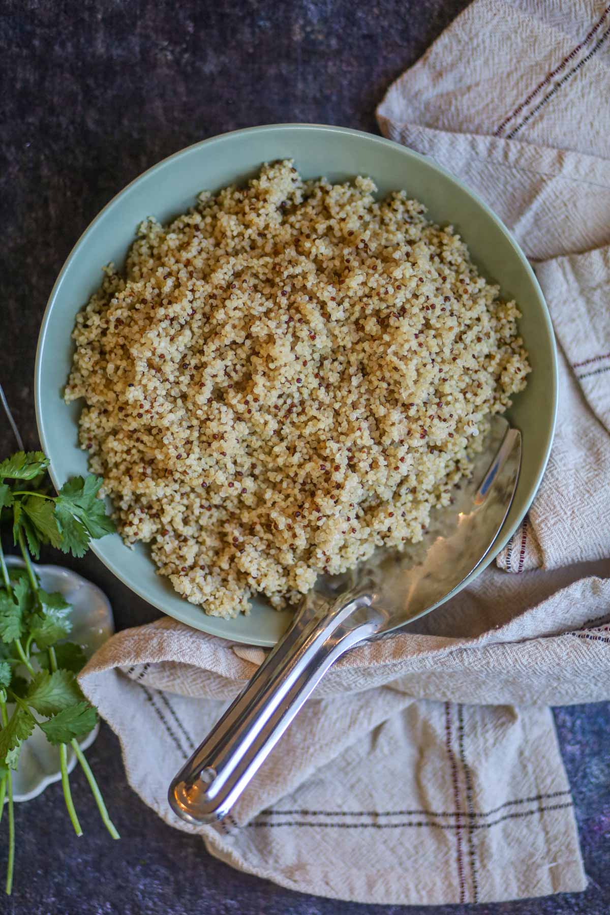 Fluffy Instant Pot quinoa cooked with perfect 1:1.25 ratio in a bowl.