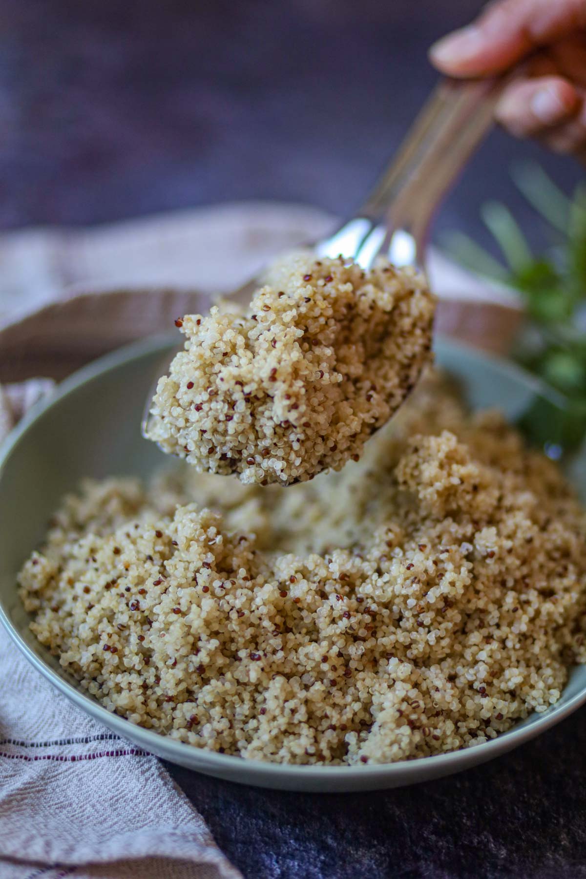 Spoon lifting fluffy quinoa cooked in Instant Pot pressure cooker.