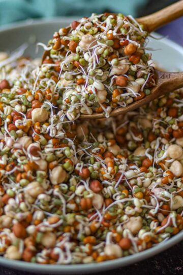 Fresh bean sprouts in a bowl.