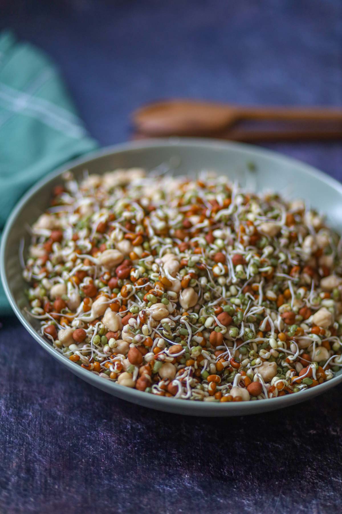Bowl of homemade mixed bean sprouts with moong, moth beans, and chickpeas.