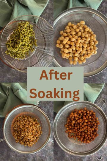 Soaked beans ready for sprouting.