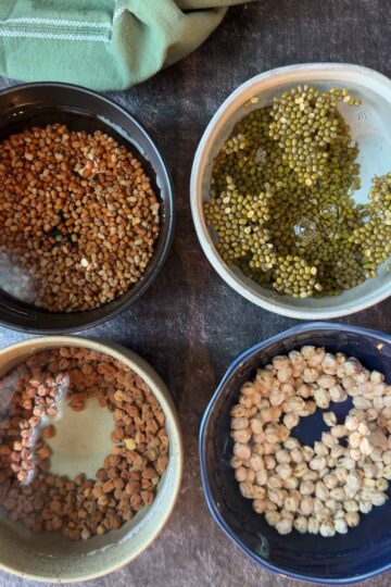 Soaking the legumes overnight in different containers.